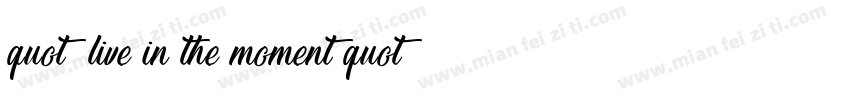 quot; live in the moment quot;字体转换